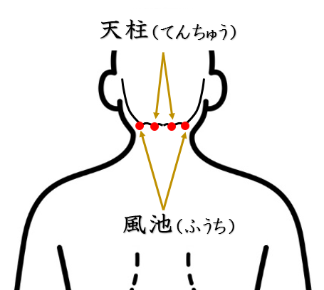目の疲れ・眼精疲労・鍼灸師がおススメする自分で出来るセルフケアを紹介・天柱・風池・ツボ・経穴・東洋医学・鍼灸・漢方・漢方薬
