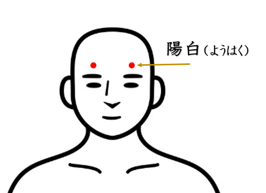 目の疲れ・眼精疲労・鍼灸師がおススメする自分で出来るセルフケアを紹介・陽白・ツボ・経穴・東洋医学・鍼灸・漢方・漢方薬