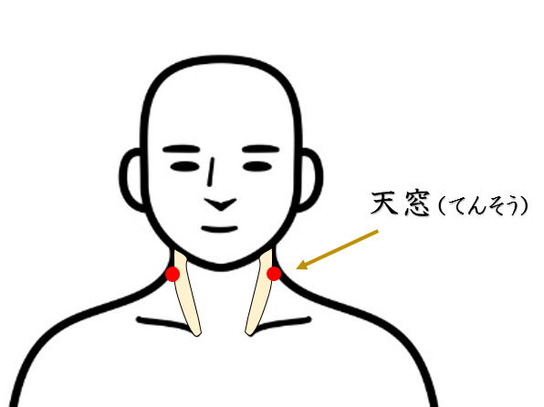 首・肩こり・鍼灸師がおススメする自分で出来るセルフケアを紹介・ツボ・経穴・天窓・東洋医学・鍼灸・漢方・漢方薬