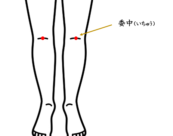 腰痛・慢性腰痛・鍼灸師がおススメする自分で出来るセルフケアを紹介・委中・ツボ・経穴・東洋医学・鍼灸・漢方・漢方薬