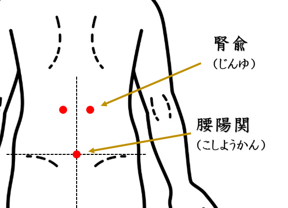 腰痛・慢性腰痛・鍼灸師がおススメする自分で出来るセルフケアを紹介・腎兪・腰陽関・ツボ・経穴・東洋医学・鍼灸・漢方・漢方薬