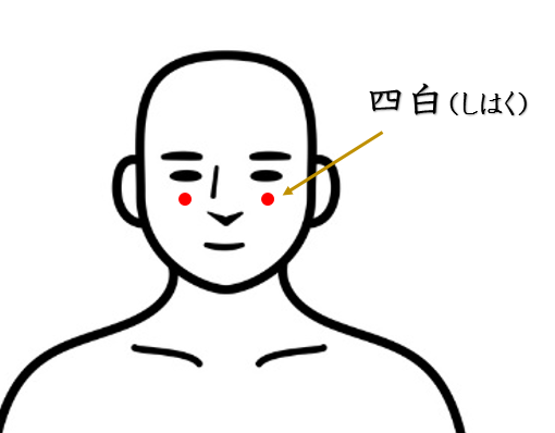 目の疲れ・眼精疲労・鍼灸師がおススメする自分で出来るセルフケアを紹介・四白・ツボ・経穴・東洋医学・鍼灸・漢方・漢方薬
