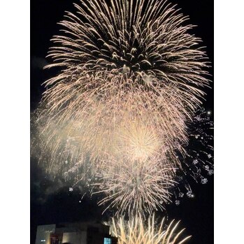 デトックス週間始まります♪
