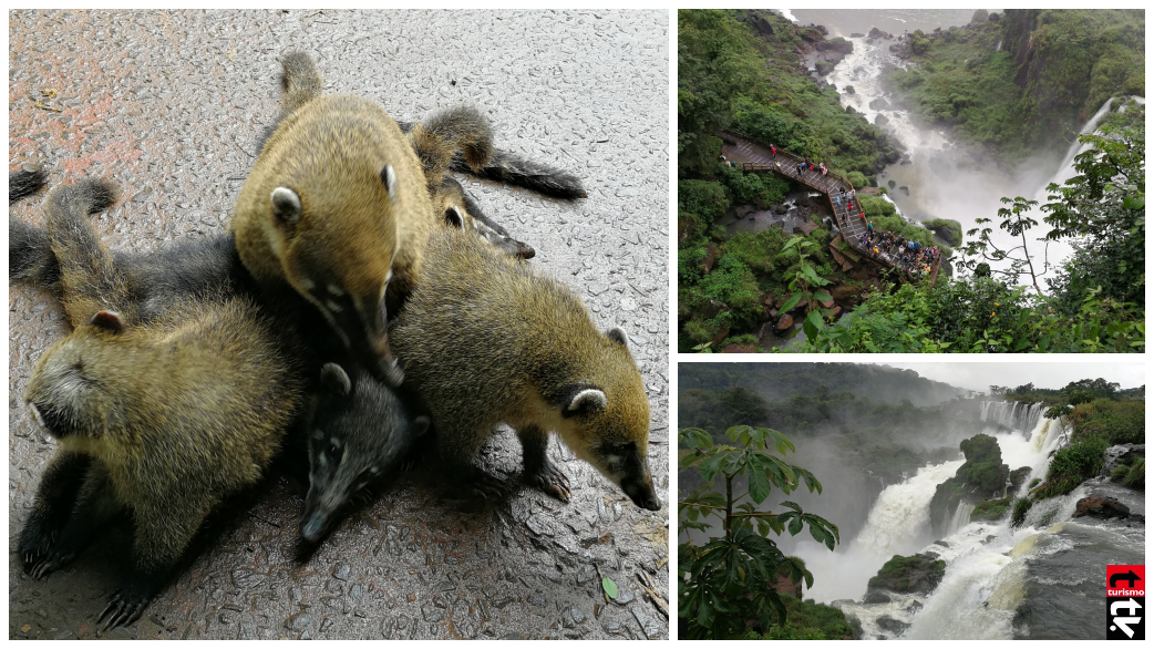 Vacaciones de invierno en las cataratas