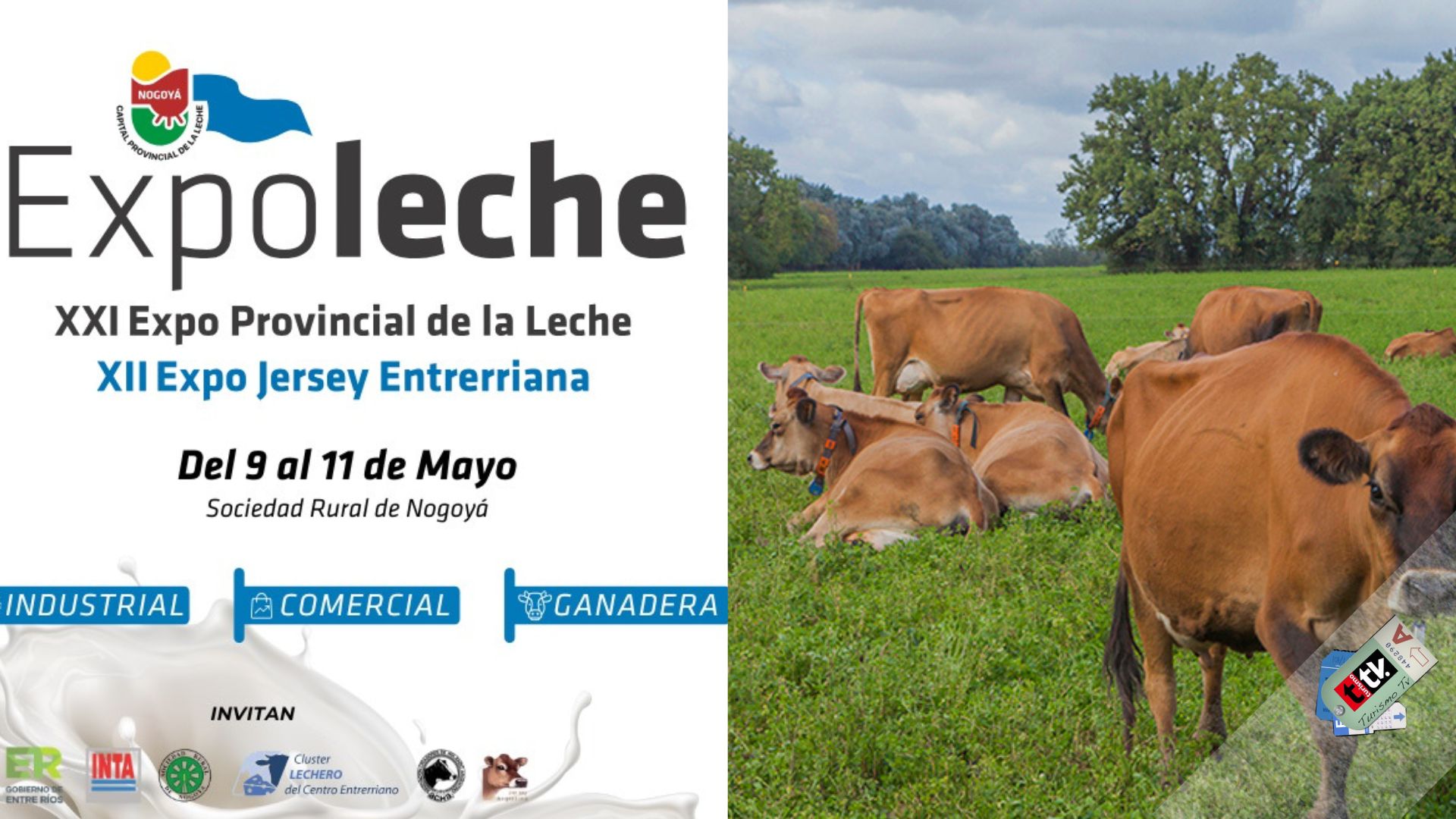 Expo Leche Nogoyá
