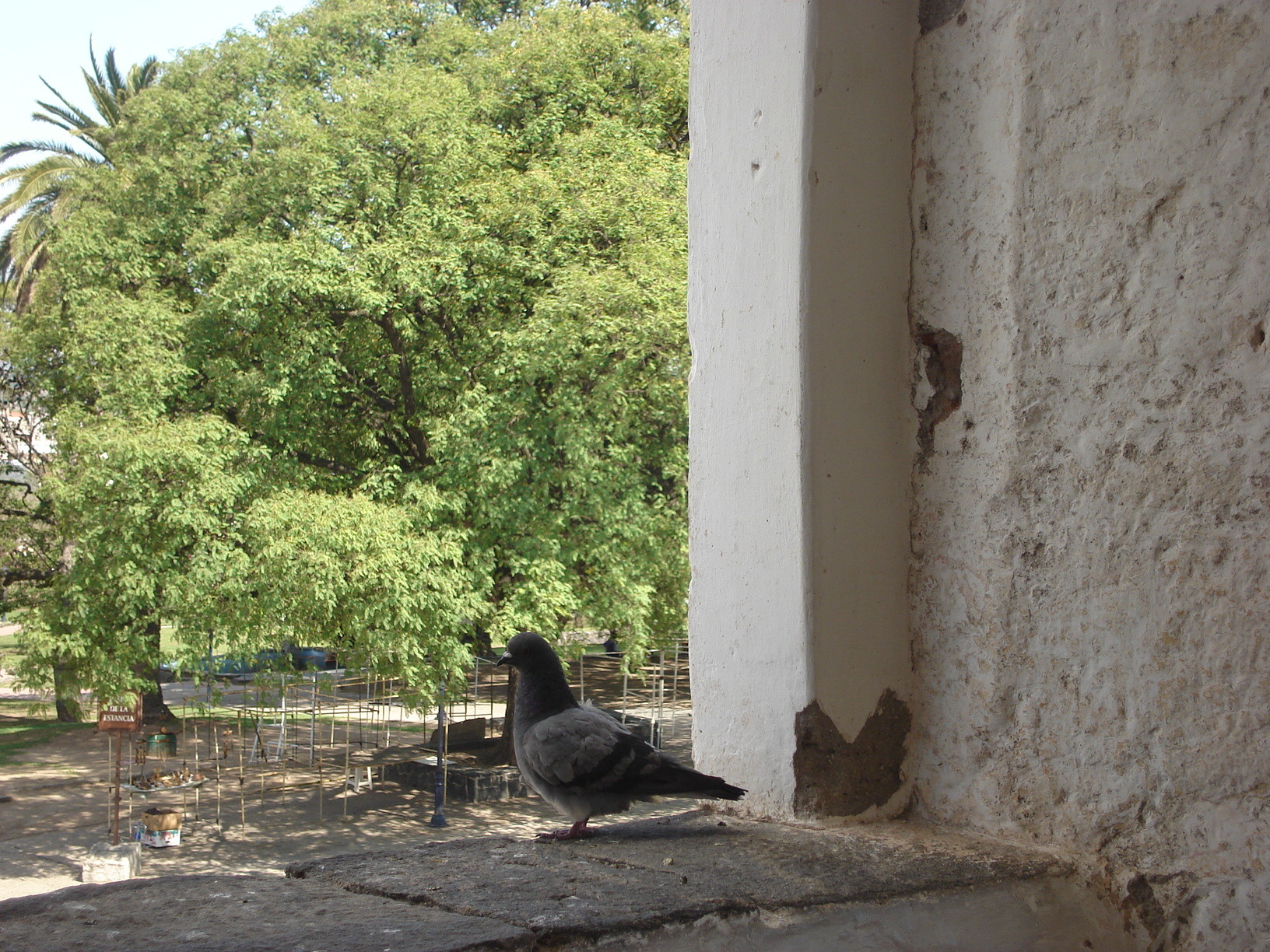  Museo Nacional Estancia Jesuítica de Alta Gracia y Casa del Virrey Liniers