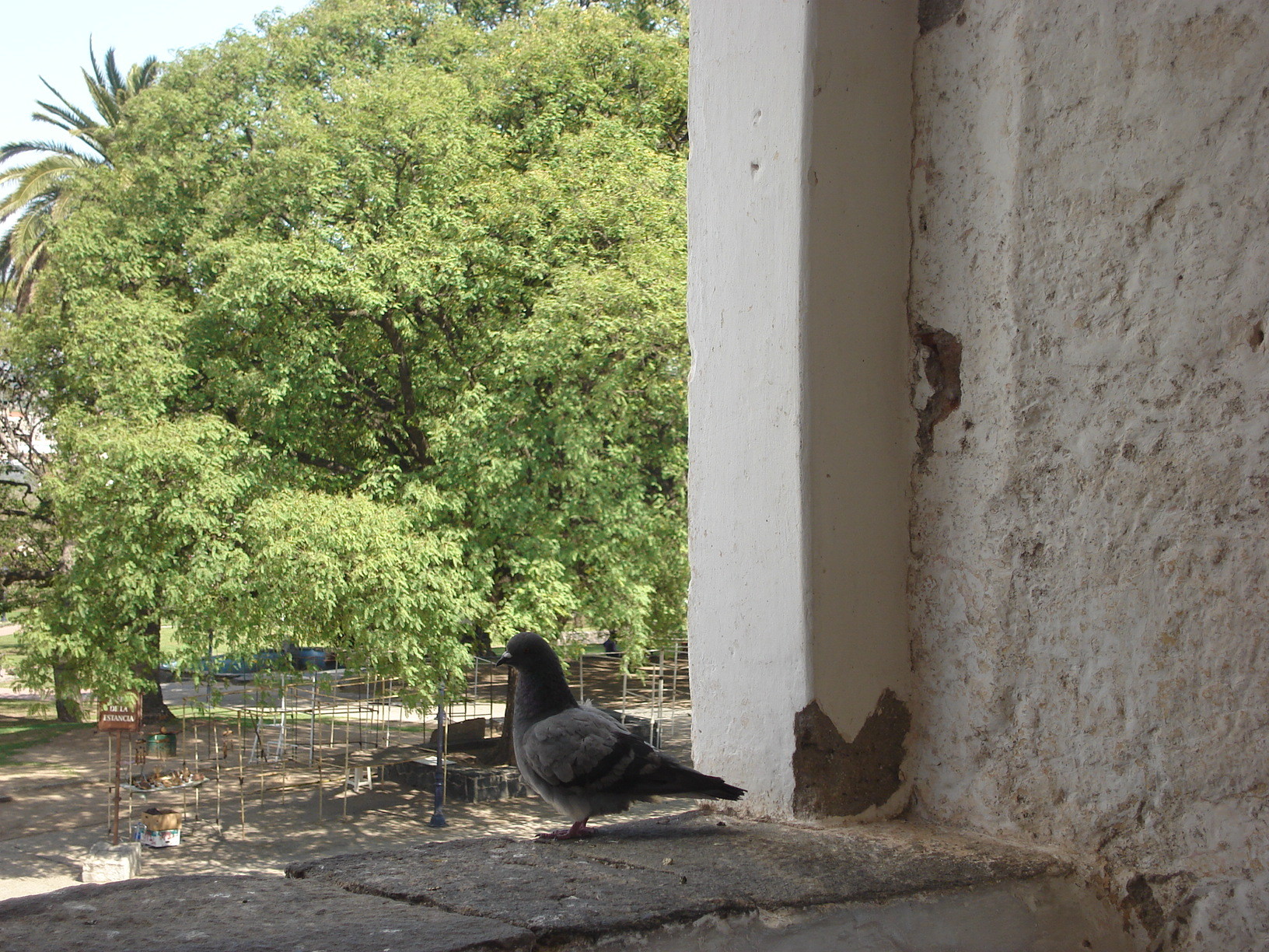  Museo Nacional Estancia Jesuítica de Alta Gracia y Casa del Virrey Liniers