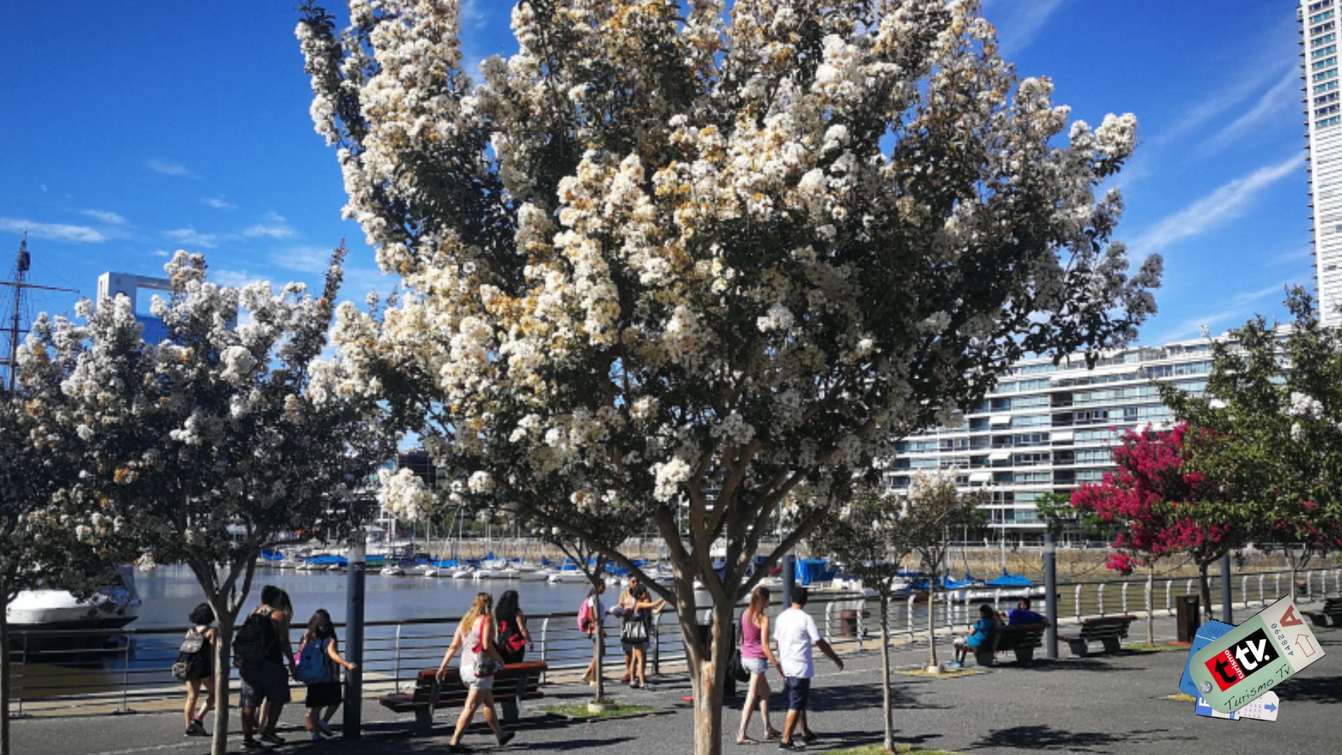 Puerto Madero Buenos Aires