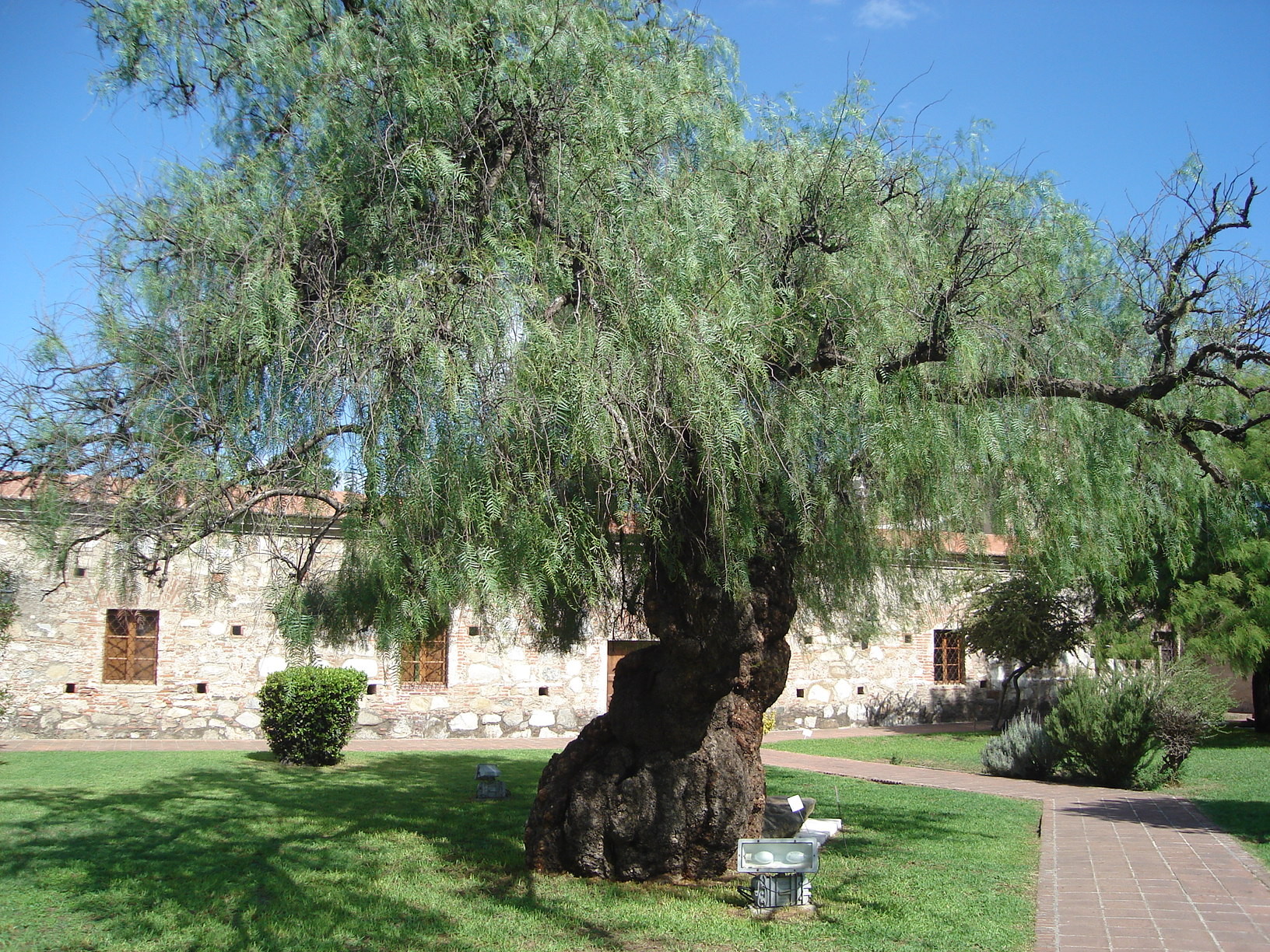  Museo Nacional Estancia Jesuítica de Alta Gracia y Casa del Virrey Liniers