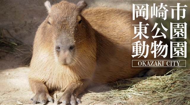 東海の動物園　岡崎市東公園動物園へ行こう！