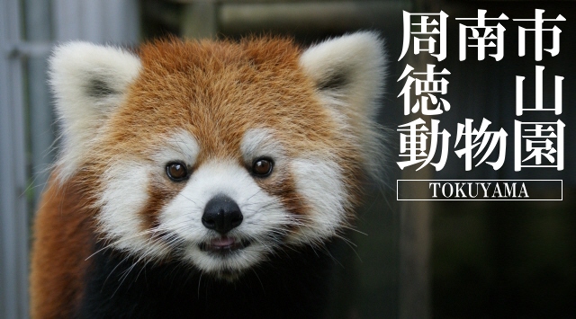 中国＆四国の動物園　周南市徳山動物園へ行こう！