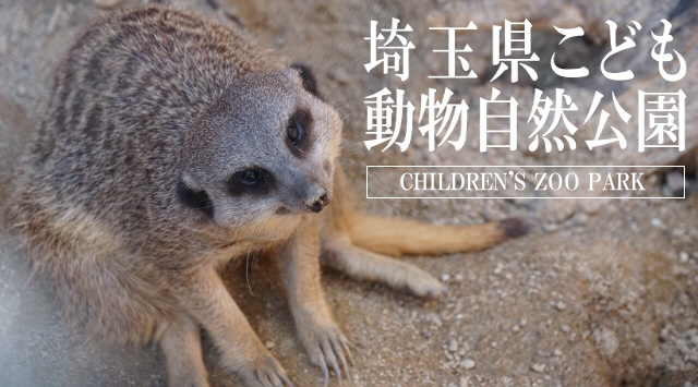 関東の動物園　埼玉県こども動物自然公園へ行こう！