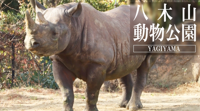 東北の動物園　八木山動物公園へ行こう！