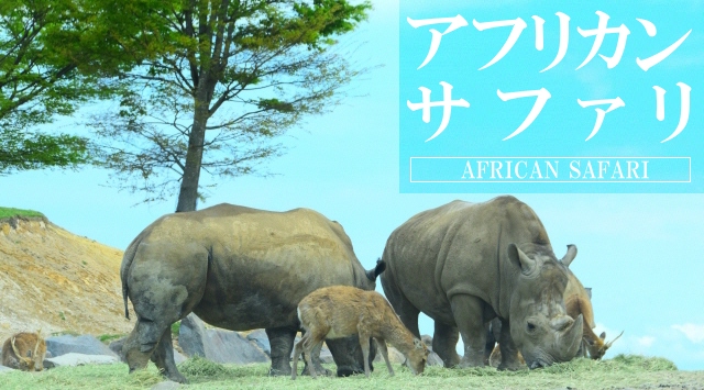 九州の動物園　アフリカンサファリへ行こう！