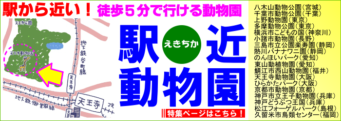 駅から近い動物園一覧　徒歩５分で行ける動物園