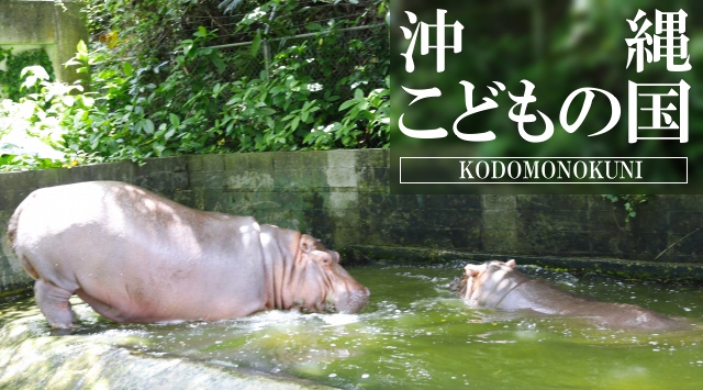 九州＆沖縄の動物園　沖縄こどもの国へ行こう！