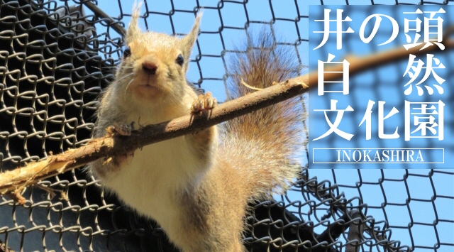 関東の動物園　井の頭自然文化園へ行こう！