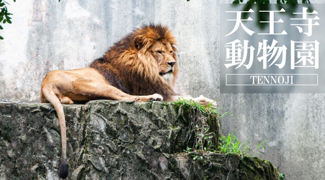 関西の動物園　天王寺動物園へ行こう！