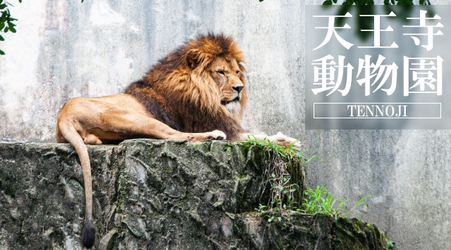 関西の動物園　天王寺動物園へ行こう！