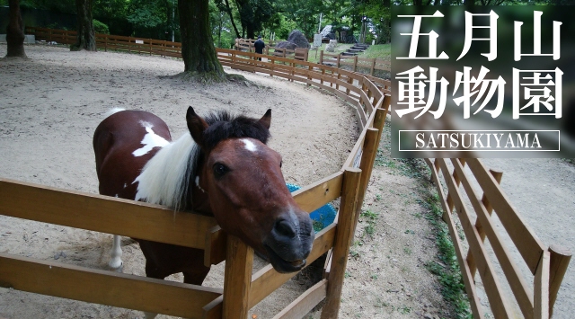 関西の動物園　池田市立五月山動物園へ行こう！