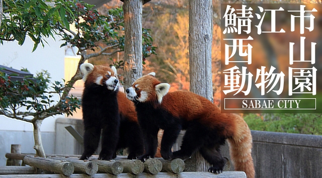 北陸＆甲信越の動物園　鯖江市西山動物園へ行こう！