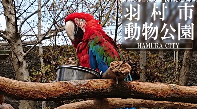 関東の動物園　羽村市動物公園へ行こう！