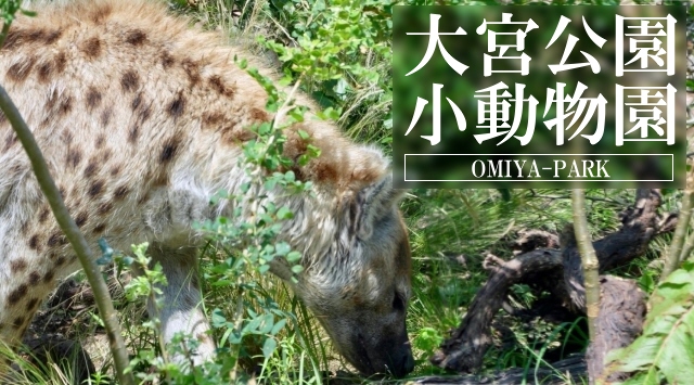 関東の動物園　大宮公園小動物園へ行こう！