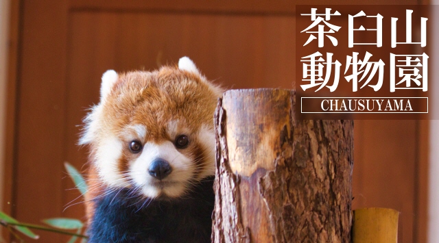 北陸＆甲信越の動物園　茶臼山動物園へ行こう！