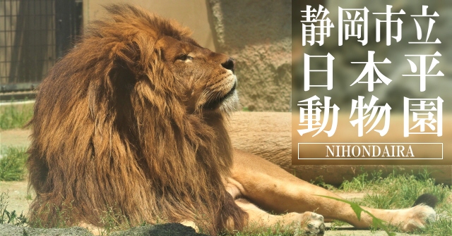 東海の動物園　静岡市立日本平動物園へ行こう！