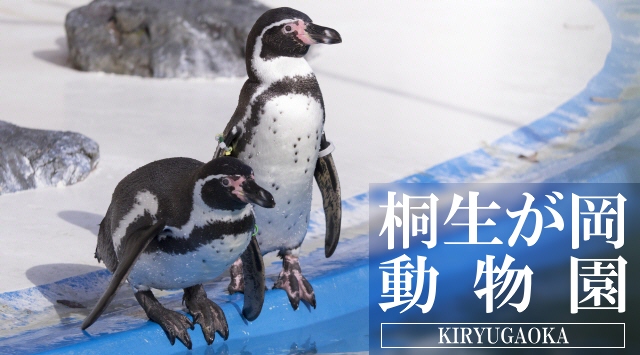 関東の動物園　桐生が岡動物園へ行こう！