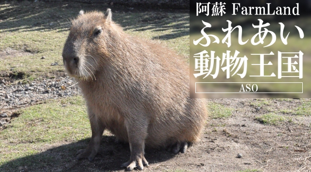 九州の動物園　阿蘇FarmLand･ふれあい動物王国へ行こう！