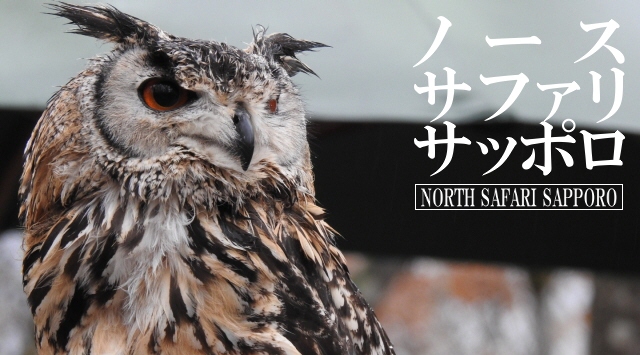 北海道の動物園　ノースサファリサッポロへ行こう！