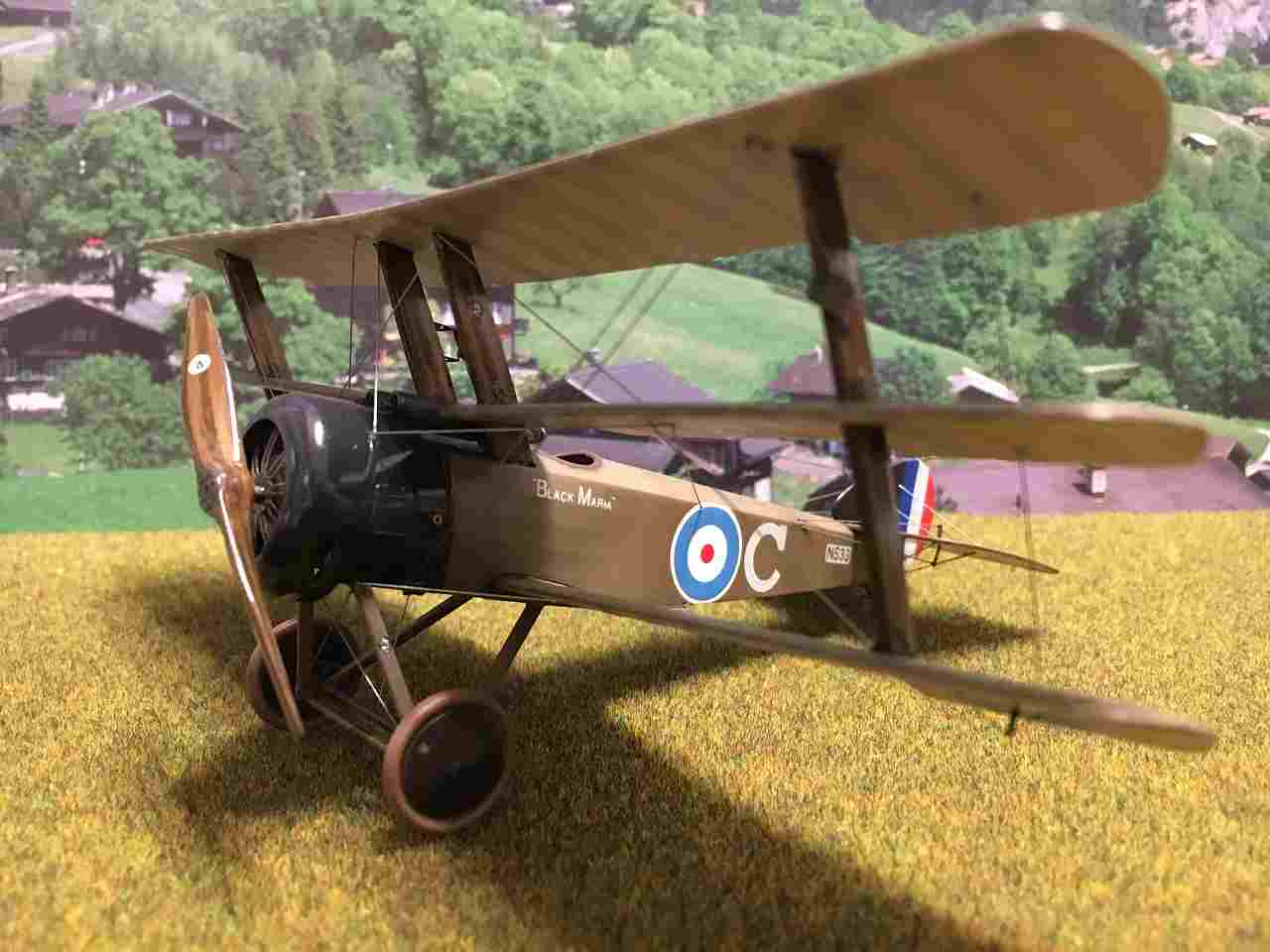 Roderic Dallas(32kills) WW1 Aces