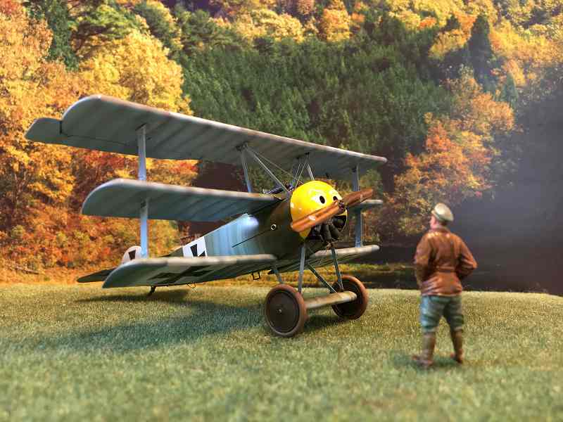 Werner Voss(48kills) - WW1 Aces Werner Voss(48kills) - WW1 Aces