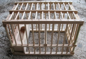 Cage bois; (gàbi)