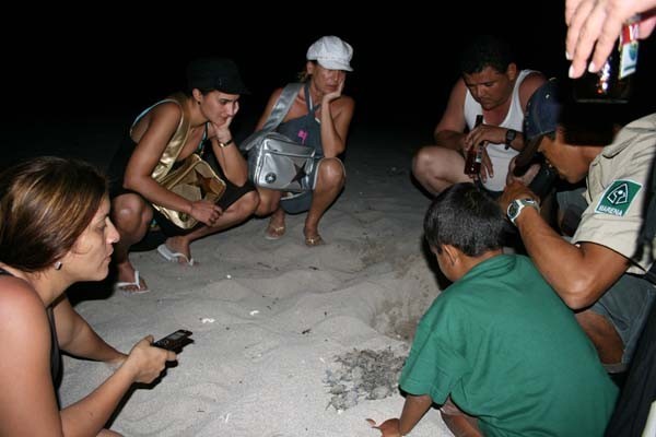 Aqui las comadronas ayudando al parto de las tortuguitas