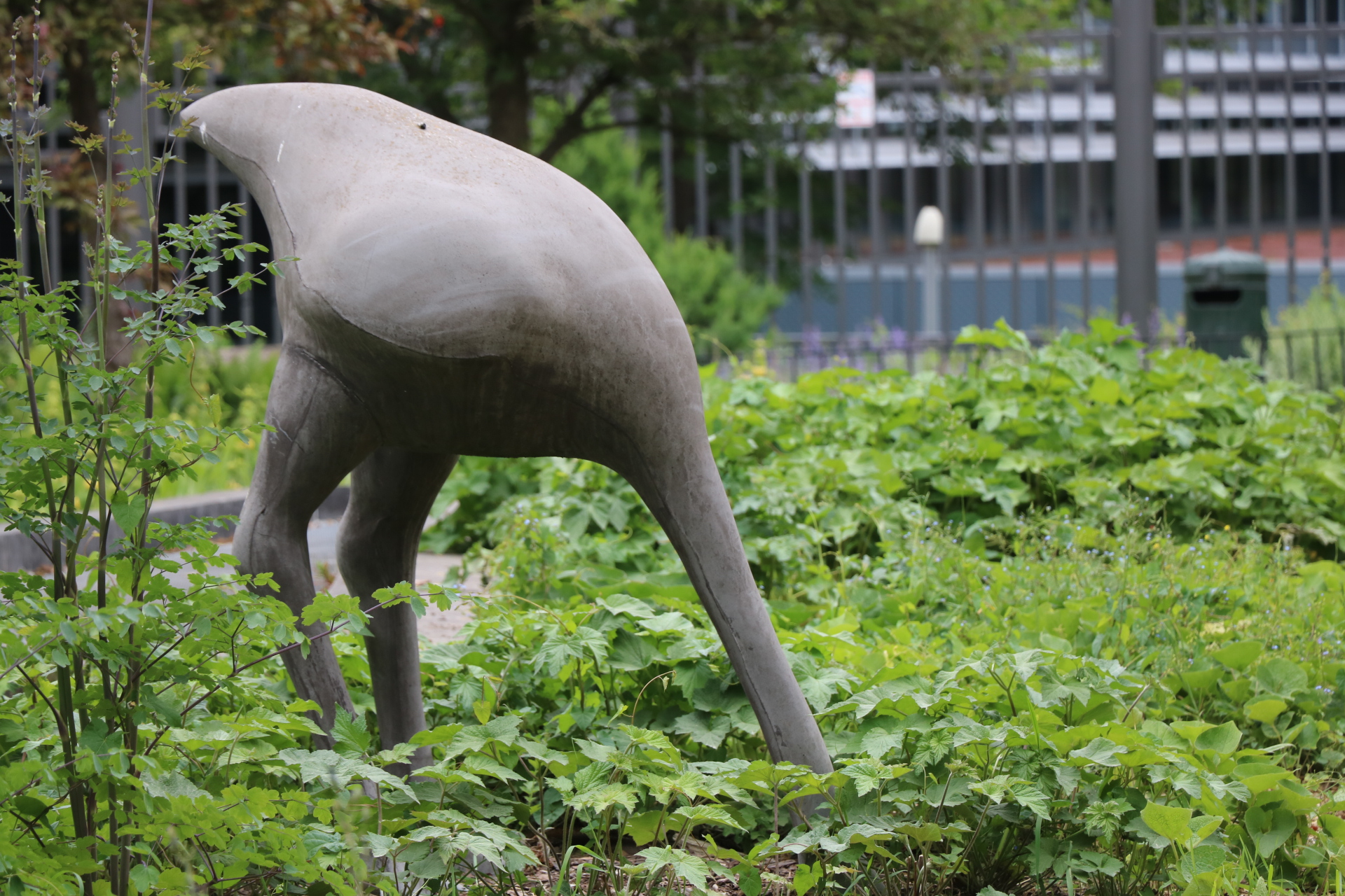 Que font les autruches du parc Léopold ?<br/><a href="https://collections.heritage.brussels/fr/objects/86134" target="_blank"><em style="color: #666;">plus d'infos</em></a>