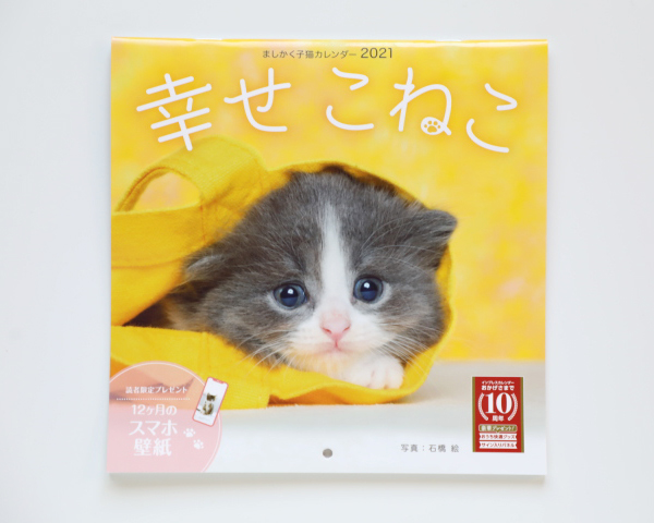 Cat Calendar Diary 21 Nui Ishibashi Web Site Cat Calendar Diary 21 Nui Ishibashi Web Site