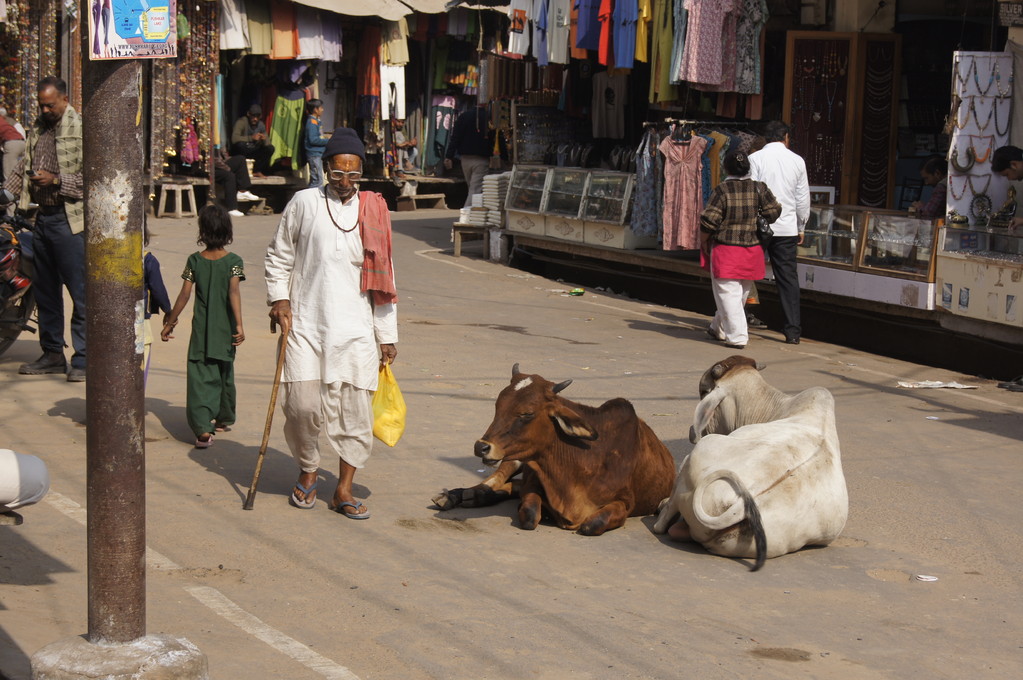 Pushkar