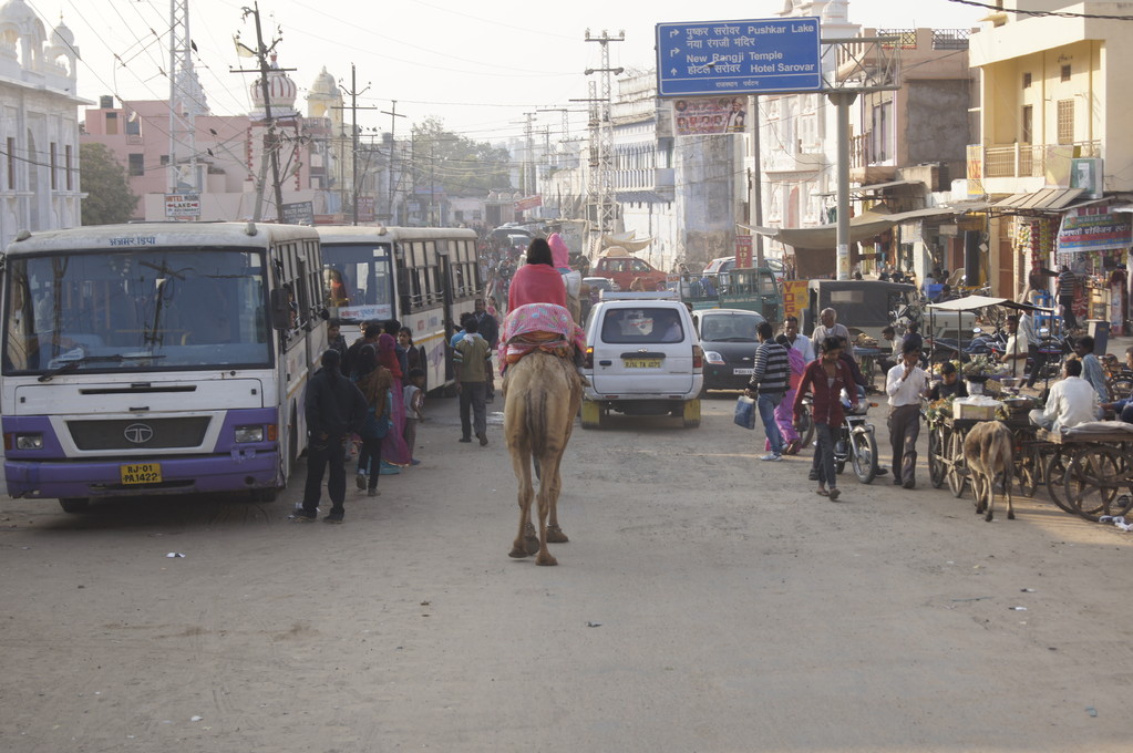Pushkar sei der Welt entrückt, stand in meinem Reiseführer...
