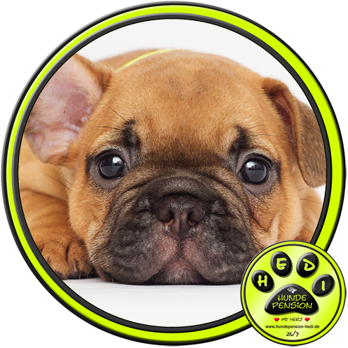 HUNDEPENSION HEDI TIERPENSION BAD SALZUFLEN