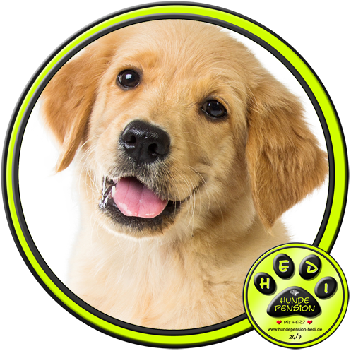 HUNDEPENSION HEDI TIERPENSION BAD SALZUFLEN