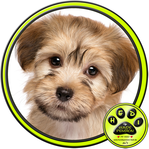 HUNDEPENSION HEDI TIERPENSION BAD SALZUFLEN