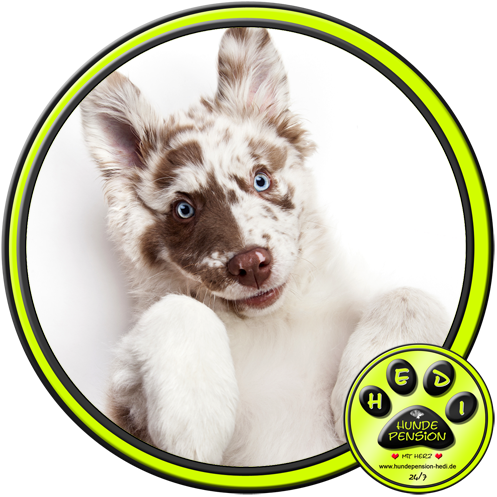 HUNDEPENSION HEDI TIERPENSION BAD SALZUFLEN