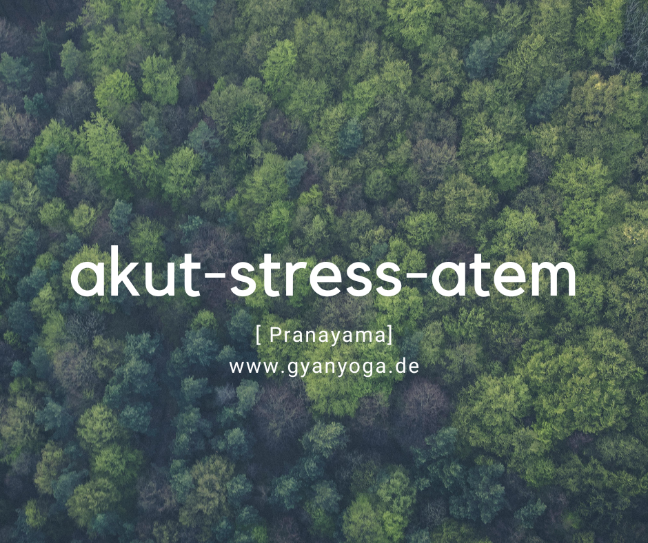 akut-stress-atem – in sekunden zurück zur ruhe