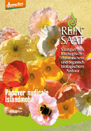 Bio-Saatgut Islandmohn - raimund Biogartenbedarf