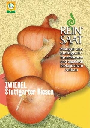 brokkolisamen bio kaufen Brokkoli Rapa Bio-Keimsaat  Keimgrn
