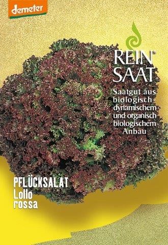 künstlicher weihnachtsbaum hse Künstlicher Weihnachtsbaum 