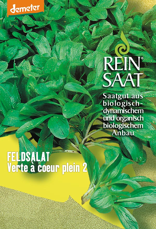 Bio-Saatgut Feldsalat 'Verte a coeur plein 2' - raimund Biogartenbedarf