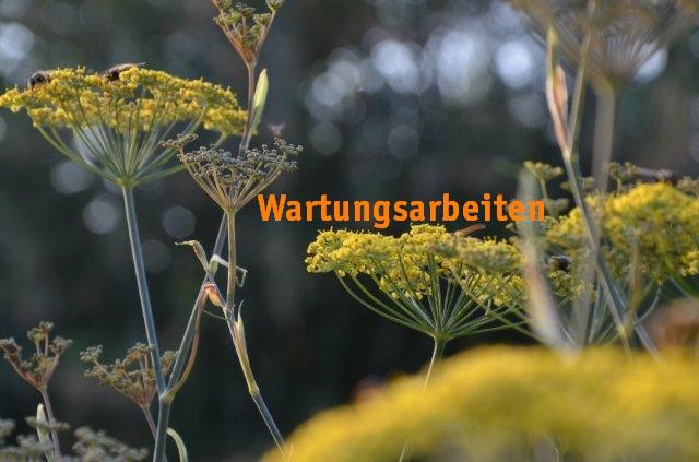Wartungsarbeiten